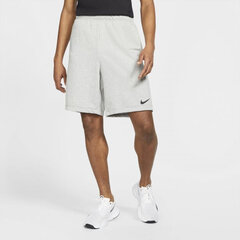 Sportiniai šortai vyrams Nike Dri-FIT M DA5556-063, pilki цена и информация | Мужская спортивная одежда | pigu.lt