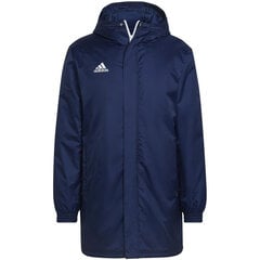 Мужская куртка Adidas Entrada 22 Стадионная куртка HG6301, темно синяя цена и информация | Мужские куртки | pigu.lt