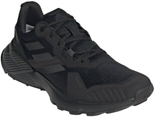 Мужские кроссовки Adidas Terrex Soulstride R.Rdy Black FZ3036 цена и информация | Кроссовки мужские | pigu.lt