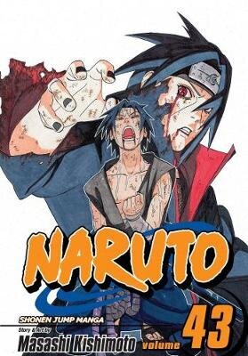 Naruto, Vol. 43: The Man With The Truth, V. 43 kaina ir informacija | Užsienio kalbos mokomoji medžiaga | pigu.lt