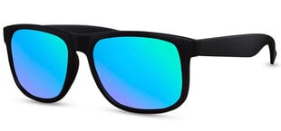 Солнцезащитные очки Label L2152 цена и информация | Легкие и мощные прозрачные защитные очки для велосипедов | pigu.lt