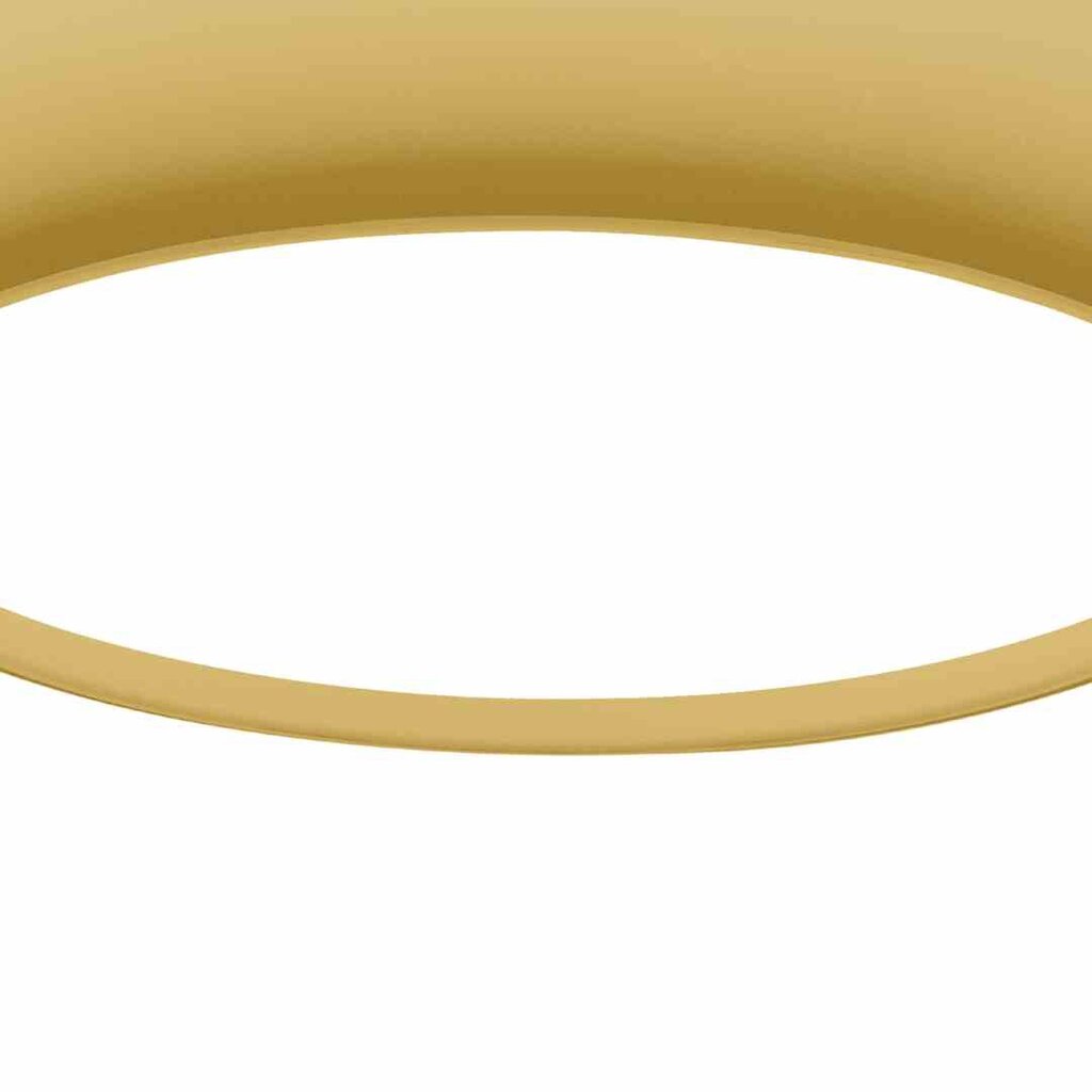 Milagro lubinis šviestuvas Gea Gold kaina ir informacija | Lubiniai šviestuvai | pigu.lt