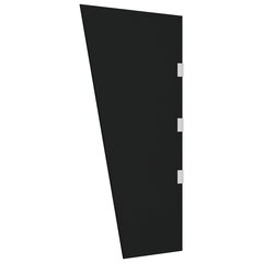 vidaXL Šoninė sienelė stogeliui durims, juoda, 50x100cm, stiklas kaina ir informacija | Skėčiai, markizės, stovai | pigu.lt