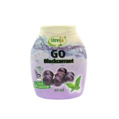 Stevija Go juodųjų serbentų skonio sirupas, 40 ml цена и информация | Соусы | pigu.lt