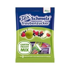 TEX-Schmelz® dekstrozės saldainiai Sodo vaisių miksas, 75g kaina ir informacija | Saldumynai | pigu.lt