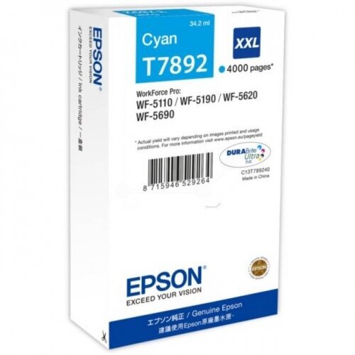 Epson C13T789240 Cyan цена и информация | Kasetės rašaliniams spausdintuvams | pigu.lt