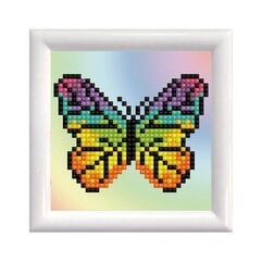 Deimantinė mozaika Rainbow butterfly DD Kit with frame kaina ir informacija | Deimantinės mozaikos | pigu.lt