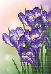 Deimantinė mozaika Spring Crocus 32x22 cm kaina ir informacija | Deimantinės mozaikos | pigu.lt