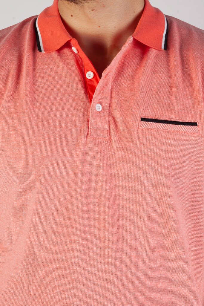 Polo marškinėliai vyrams Blue Seven 321119312, rožiniai kaina ir informacija | Vyriški marškinėliai | pigu.lt
