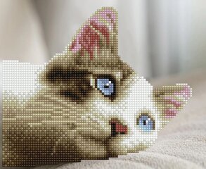 Deimantinė mozaika Daydream Kitty 25x20,5 cm kaina ir informacija | Deimantinės mozaikos | pigu.lt