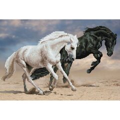 Deimantinė mozaika Horse play 42x62 cm kaina ir informacija | Deimantinės mozaikos | pigu.lt