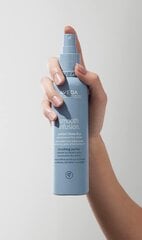 Разглаживающий спрей для волос Aveda Smooth Infusion 200 мл цена и информация | Средства для укладки волос | pigu.lt