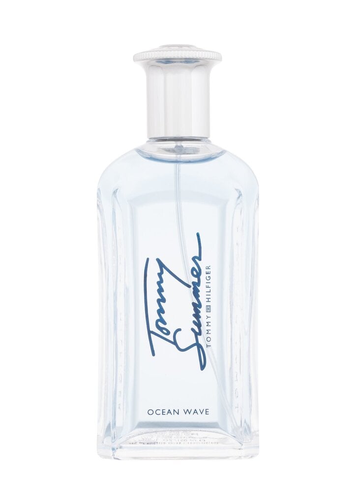 Tualetinis vanduo vyrams Tommy Hilfiger Tommy Summer Ocean Wave EDT, 100 ml цена и информация | Kvepalai vyrams | pigu.lt