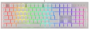 GENESIS THOR 303 RGB проводная белая механическая клавиатура | Outemu Brown цена и информация | Клавиатуры | pigu.lt