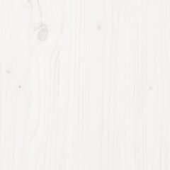 vidaXL Lovos rėmas, baltas, 120x190cm, medienos masyvas, dvivietis цена и информация | Кровати | pigu.lt