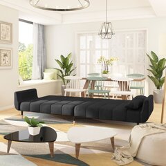 Dvivietė vidaXL sofa-lova, juoda kaina ir informacija | Sofos, sofos-lovos | pigu.lt