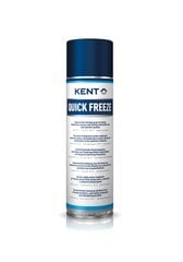 Sušalantis aerozolis Kent Quick Freeze, 500 ml kaina ir informacija | Autochemija | pigu.lt