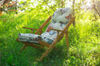 Sulankstoma medinė kėdė "Borneo", juoda, 4IQ kaina ir informacija | Lauko kėdės, foteliai, pufai | pigu.lt