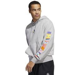 Džemperis vyrams Adidas Pride M HC4454, pilkas цена и информация | Мужская спортивная одежда | pigu.lt