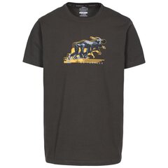 Мужская футболка Trespass  - Fastest цена и информация | Мужские футболки | pigu.lt