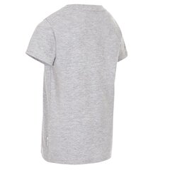 Marškinėliai berniukams trumpomis rankovėmis Trespass MCTOTSTR0002 – Undaunted kaina ir informacija | Marškinėliai berniukams | pigu.lt