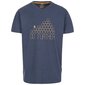 Marškinėliai vyrams trumpomis rankovėmis Trespass MATOTSTR0015 - Buzzinley kaina ir informacija | Vyriški marškinėliai | pigu.lt