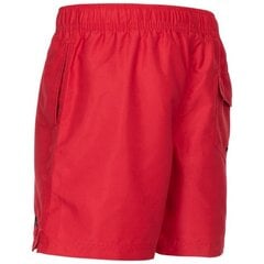 Šortai vyrams Trespass MABTSHTR0011 - Sandsend - Male Swimshort With Mesh Inner Pant kaina ir informacija | Maudymosi šortai, glaudės | pigu.lt