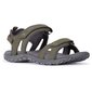 Basutės moterims Trespass FAFOBEL10004 - Serac - Female Walking Sandal цена и информация | Basutės moterims | pigu.lt