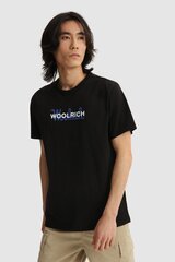 Мужская футболка WOOLRICH CFWOTE0048MRUT1486-100-XXL цена и информация | Футболка мужская | pigu.lt