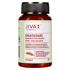 Maisto papildas Shatavari, Jiva Ayurveda, 120 tablečių, MP-849/22 kaina ir informacija | Vitaminai, maisto papildai, preparatai gerai savijautai | pigu.lt