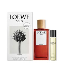 Rinkinys Loewe Solo Loewe Cedro 100ml + 20ml vyrams kaina ir informacija | Kvepalai vyrams | pigu.lt