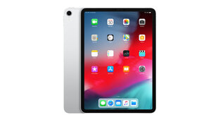 iPad Pro 11" 1.gen, 256GB, WiFi, Sidabrinis (panaudotas, būklė A) kaina ir informacija | Planšetiniai kompiuteriai | pigu.lt