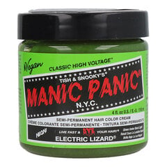 Постоянная краска Classic Manic Panic ‎HCR 11029 Electric Lizard (118 ml) цена и информация | Краска для волос | pigu.lt