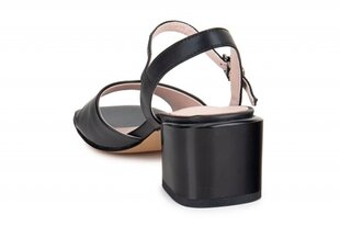 Женские сандали Lady Couture 268421035751 цена и информация | Женские туфли | pigu.lt