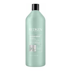 Šampūnas Redken Amino Mint, 1 l kaina ir informacija | Šampūnai | pigu.lt