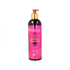Šampūnas Mielle Pomegranate & Honey Moisturizing & Detangling, 355 ml kaina ir informacija | Šampūnai | pigu.lt