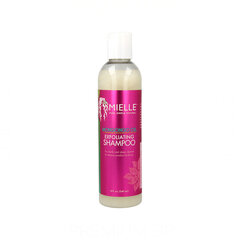 Šampūnas Mielle Mongongo Oil Exfoliantas, 240 ml kaina ir informacija | Šampūnai | pigu.lt