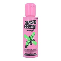 Ilgalaikiai plaukų dažai Crazy Color Toxic Nº 79, 100 ml kaina ir informacija | Plaukų dažai | pigu.lt