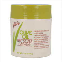 Maitinanti plaukų kaukė Vitale Olive Oil, 171 g kaina ir informacija | Priemonės plaukų stiprinimui | pigu.lt