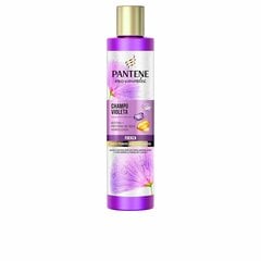 Šampūnas Pantene Miracle Violeta, 225 ml kaina ir informacija | Šampūnai | pigu.lt
