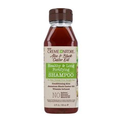 Šampūnas Creme Of Nature Aloe & Black Castor, 355 ml kaina ir informacija | Šampūnai | pigu.lt