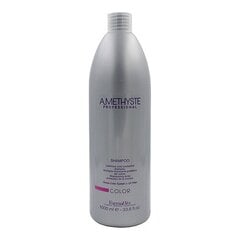 Šampūnas Amethyste Color Farmavita, 1000ml kaina ir informacija | Šampūnai | pigu.lt