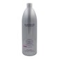 Šampūnas Amethyste Color Farmavita, 250ml kaina ir informacija | Šampūnai | pigu.lt