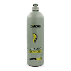 Šampūnas Exitenn, 500 ml kaina ir informacija | Šampūnai | pigu.lt