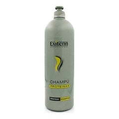 Šampūnas Exitenn, 250 ml kaina ir informacija | Šampūnai | pigu.lt