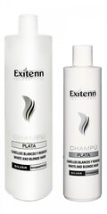 Šampūnas šviesiems ir žilstantiems plaukams Exitenn Professional Silver Shampoo, 1000ml kaina ir informacija | Šampūnai | pigu.lt