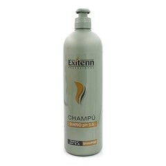 Šampūnas Exitenn PH 5.5, 1 l kaina ir informacija | Šampūnai | pigu.lt