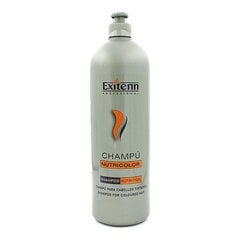 Шампунь для окрашенных волос CHAMPU NUTRICOLOR цена и информация | Шампуни | pigu.lt