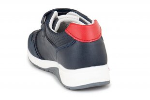 Детские туфли Kenka 448115031546 цена и информация | Детская спортивная обувь | pigu.lt