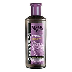 Šampūnas dažytiems plaukams Organic Salon Naturvital, 300 ml kaina ir informacija | Šampūnai | pigu.lt
